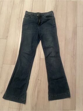 Women's Dark Wash Flared Jeans - Dark Blue
